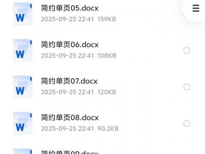 花了199买来的高端简历模板193套