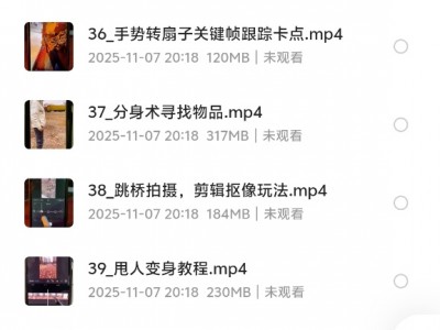 花了399买来的剪映制作，特效、运镜转场（一共113节视频）