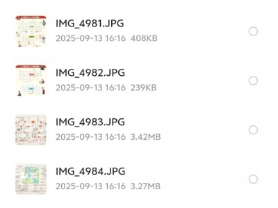 在一个大佬那里，花了199买来的四大名著思维导图